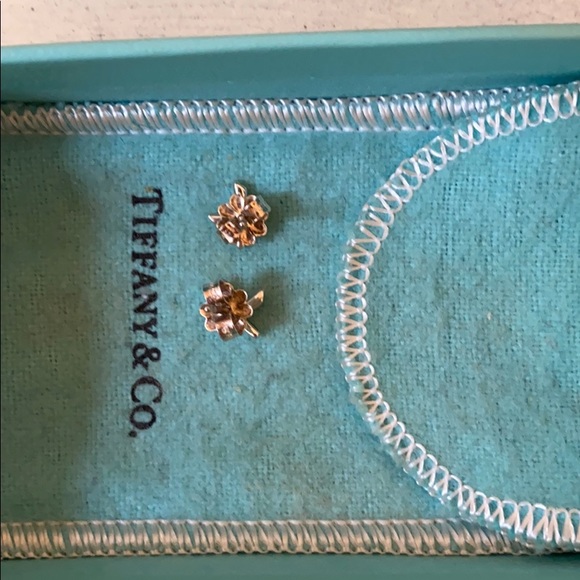 Tiffany Paloma graffiti earrings - Picture 4 of 8